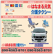 はなまる元気介護タクシーPDF